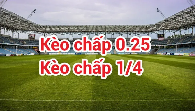 Cách Đọc Và Chơi Kèo Chấp 0.25 Trong Bóng Đá Cho Người Mới