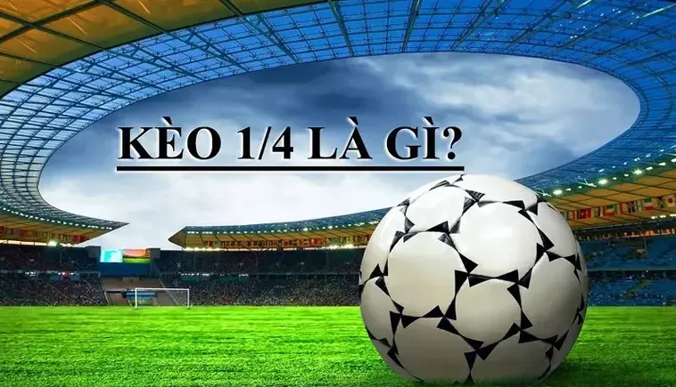 Cách Đọc Và Chơi Kèo Chấp 0.25 Trong Bóng Đá Cho Người Mới