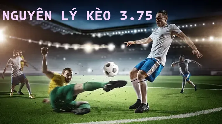 Bí Quyết Chinh Phục Kèo 3.75 Trong Bóng Đá Cho Người Chơi Thông Thái