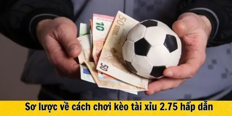 Kèo Chấp 2 3/4 Bí Quyết Soi Kèo Và Cách Chơi Hiệu Quả Nhất