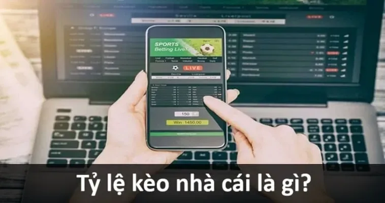 Tổng Hợp Các Loại Kèo Bóng Đá Phổ Biến Và Cách Đọc Chính Xác Nhất