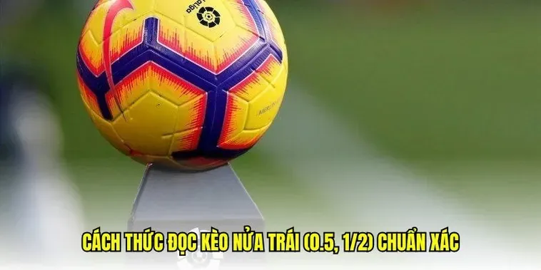 Cách Đọc Kèo Chấp 0.5 Và Bí Quyết Soi Kèo Luôn Thắng Cho Người Mới 2026