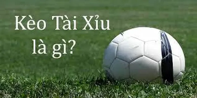 Hướng Dẫn Cách Chơi Kèo Tài Xỉu Trong Bóng Đá Hiệu Quả Nhất