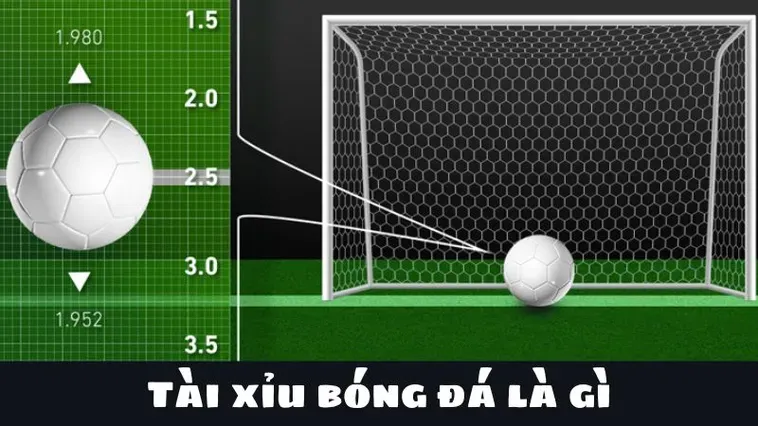 Hướng Dẫn Cách Chơi Kèo Tài Xỉu Bóng Đá Và Bí Quyết Soi Kèo Luôn Thắng