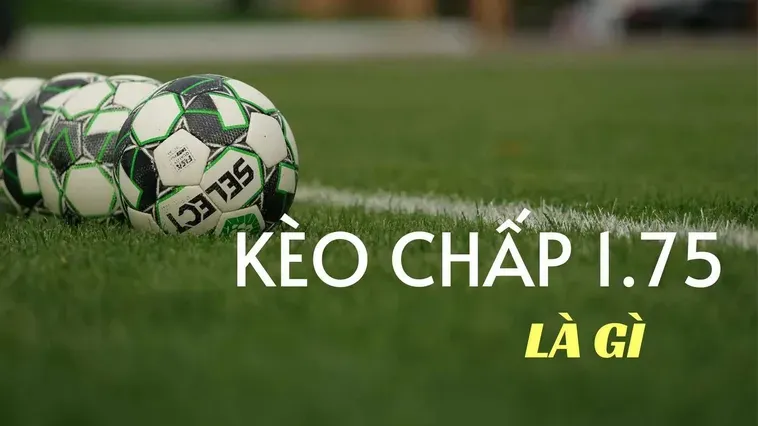 Kèo Chấp 1.75 Là Gì Cách Đọc Và Kinh Nghiệm Thắng Cược